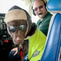 L’emport passager (il faut être deux)