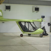 Le Swan de Radu Berceanu