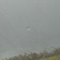 TOUT ÇA POUR UNE RACLETTE